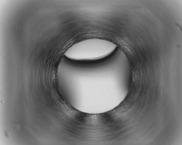 X0000091590382200708200957
