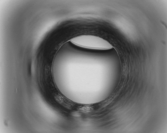 X0000091590383200708200957