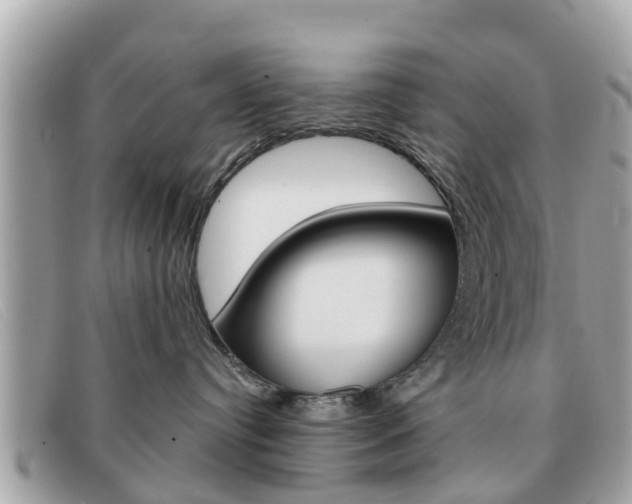 X0000091590384200708200957