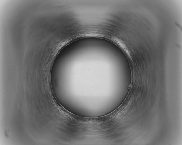 X0000091590385200708200957