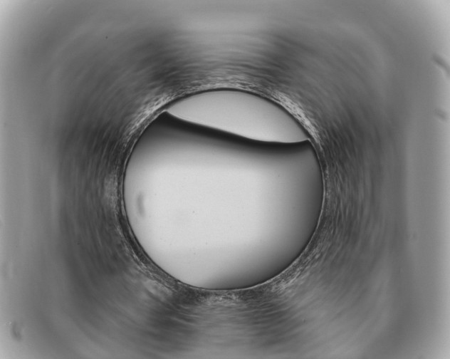X0000091590386200708200957