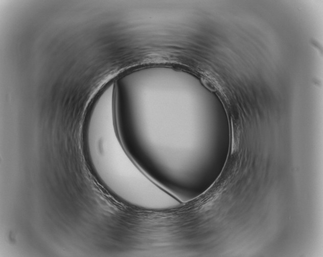X0000091590387200708200957
