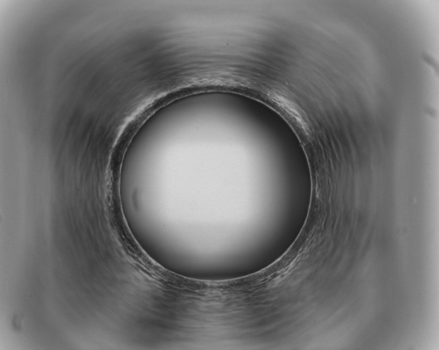 X0000091590388200708200957