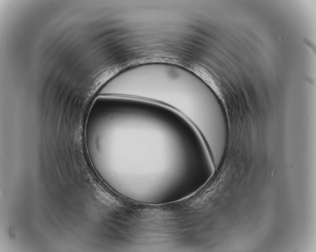X0000091590389200708200957