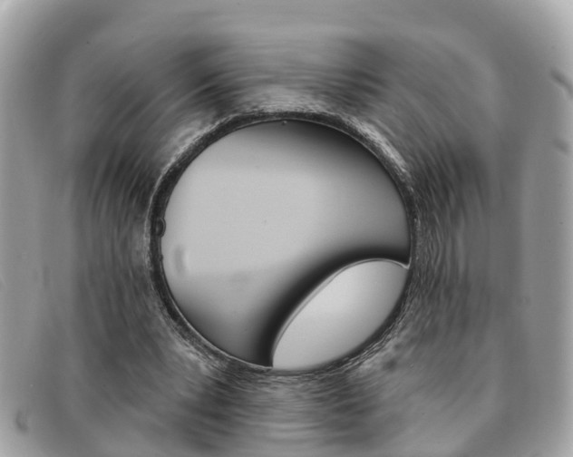 X0000091590391200708200957
