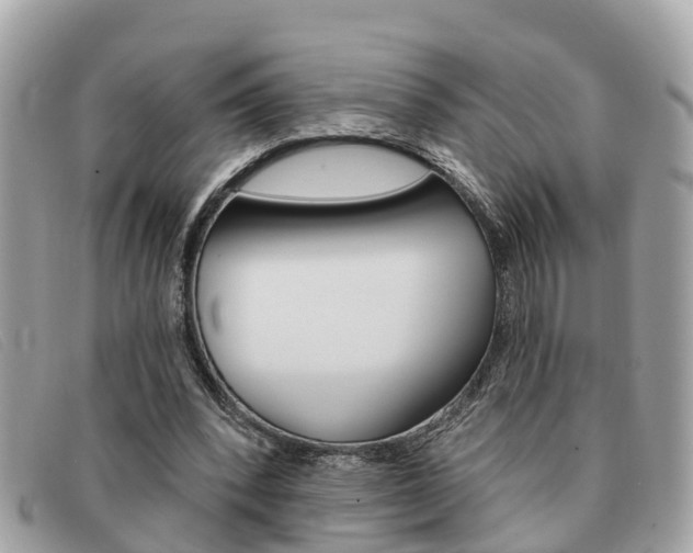 X0000091590392200708200957