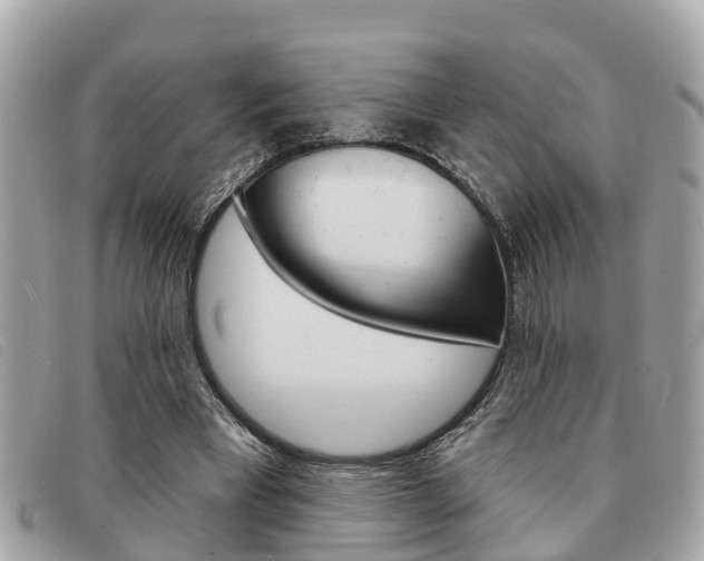 X0000091590393200708200957