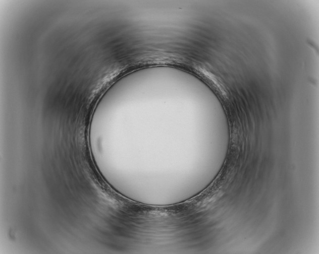 X0000091590394200708200957
