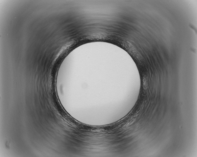 X0000091590396200708200956
