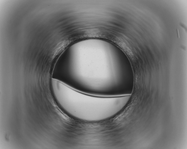 X0000091590397200708200956