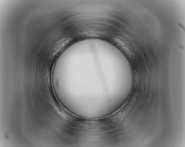 X0000091590398200708200956