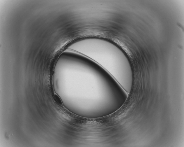 X0000091590399200708200956
