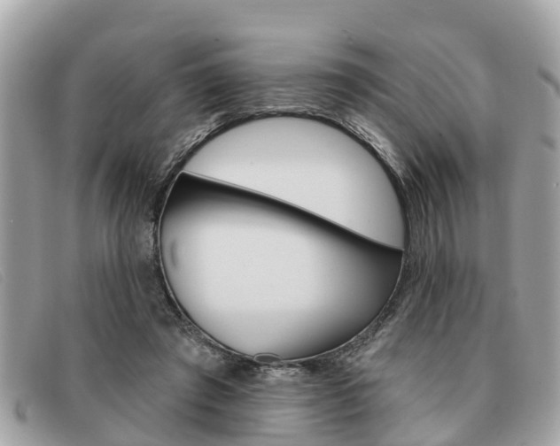 X0000091590401200708200956