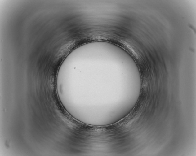 X0000091590402200708200956