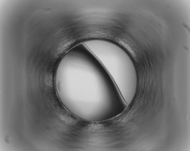 X0000091590403200708200956