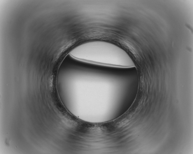 X0000091590404200708200956