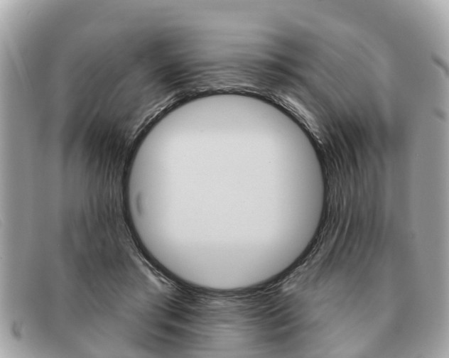 X0000091590405200708200956