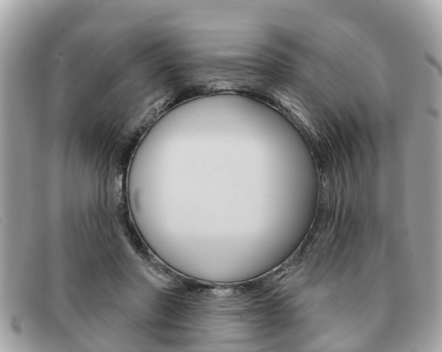 X0000091590406200708200956