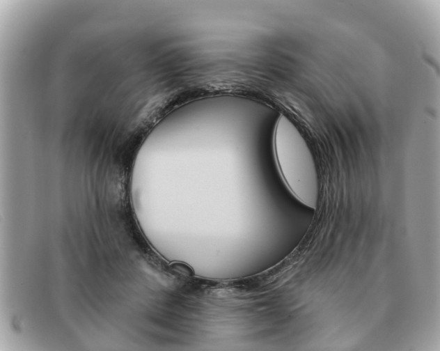 X0000091590408200708200956