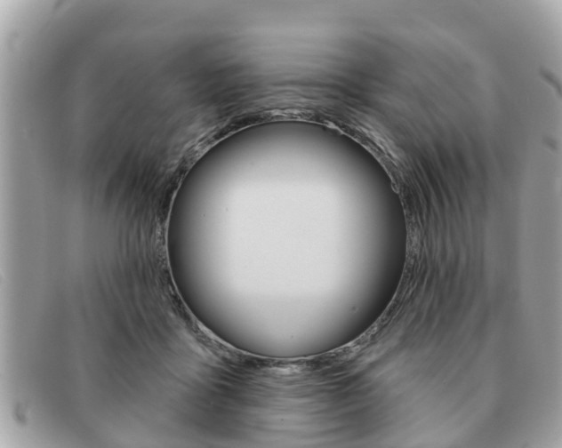 X0000091590411200708200956