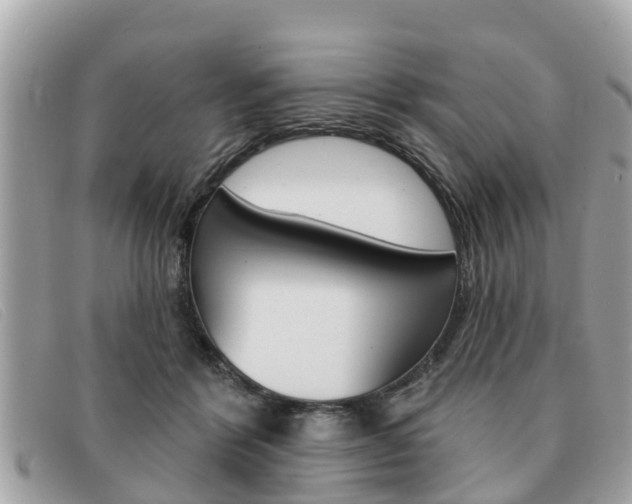 X0000091590412200708200956