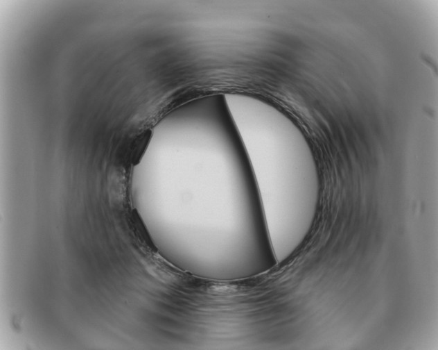 X0000091590413200708200956
