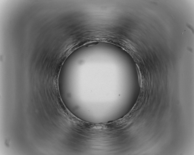 X0000091590415200708200956