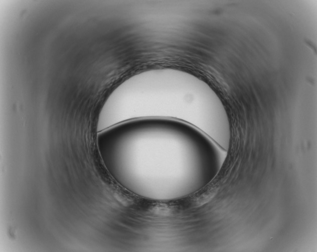 X0000091590416200708200956