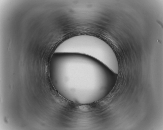 X0000091590417200708200956