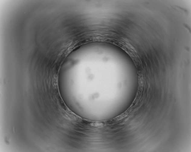 X0000091590419200708200956