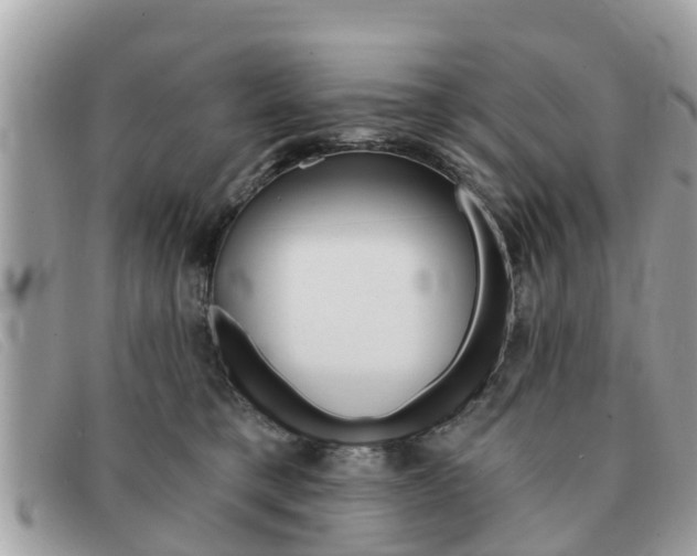 X0000091590421200708200956
