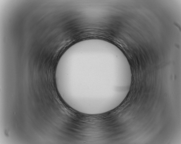 X0000091590423200708200956