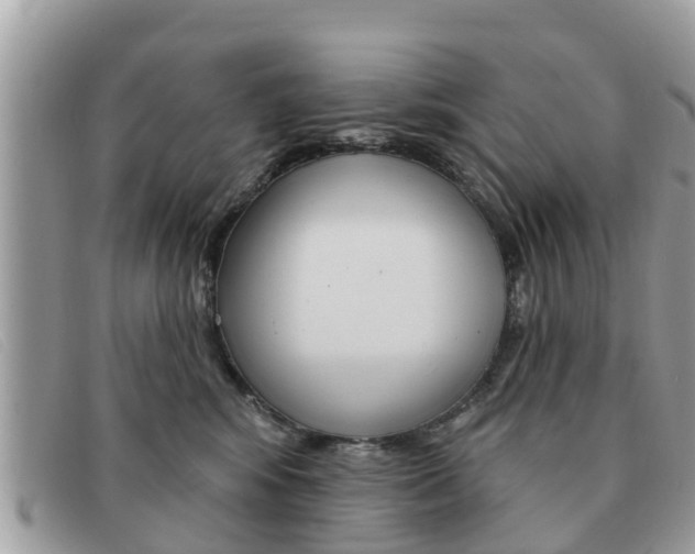 X0000091590424200708200956