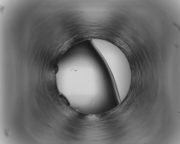 X0000091590425200708200956