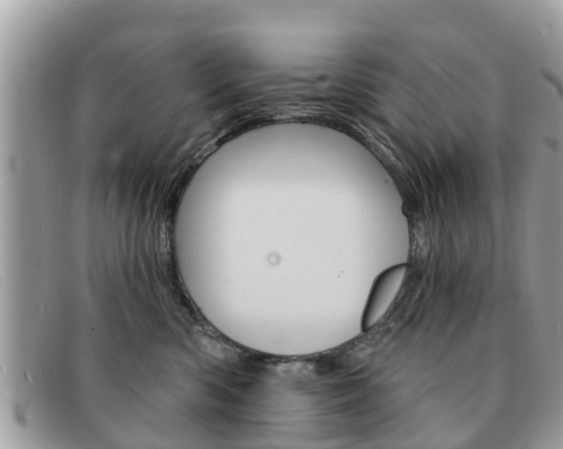 X0000091590426200708200956