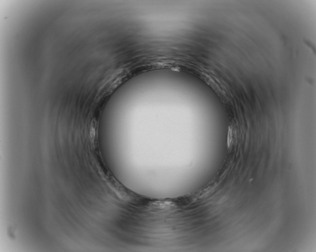 X0000091590427200708200956