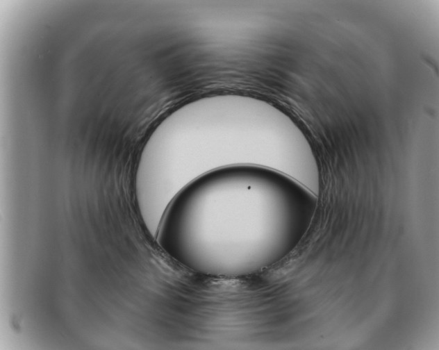 X0000091590428200708200956