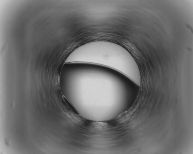 X0000091590429200708200956