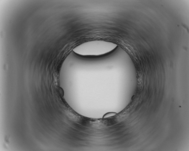 X0000091590430200708200956