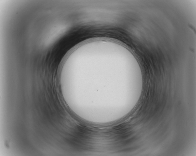 X0000091590431200708200956