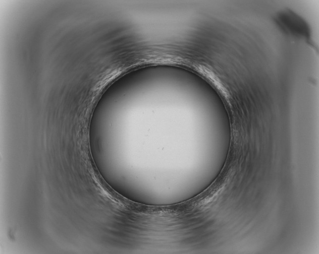 X0000091590433200708200955