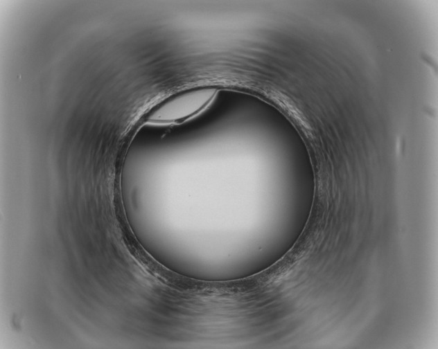 X0000091590434200708200955