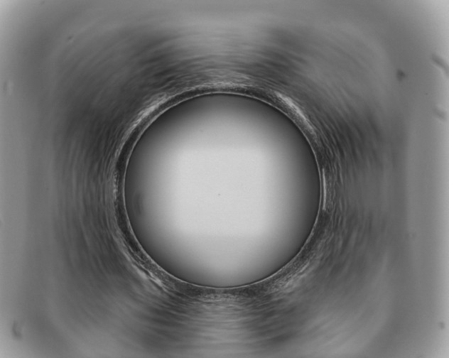X0000091590435200708200955