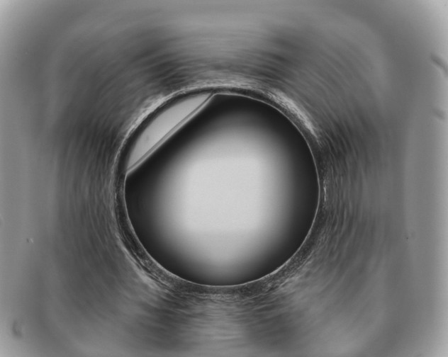 X0000091590436200708200955