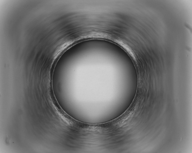 X0000091590437200708200955