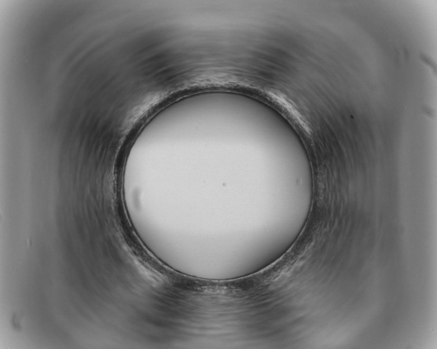 X0000091590439200708200955