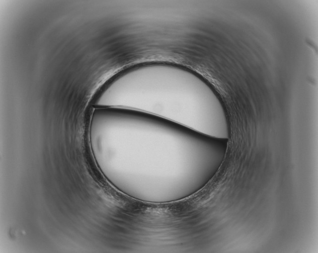 X0000091590440200708200955