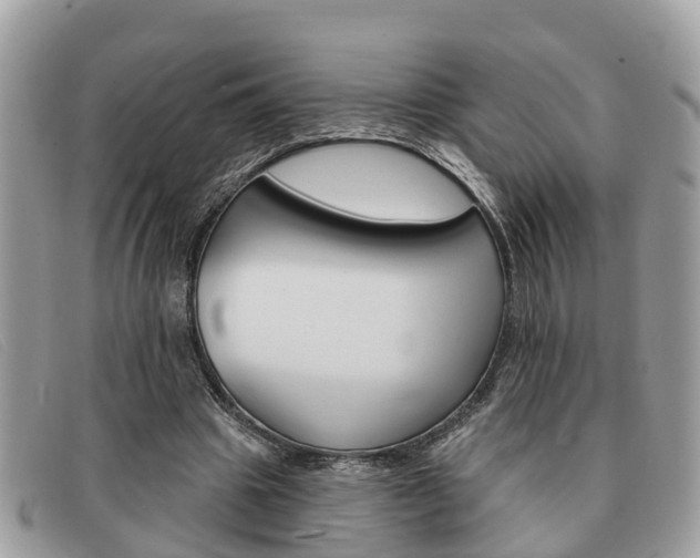 X0000091590441200708200955