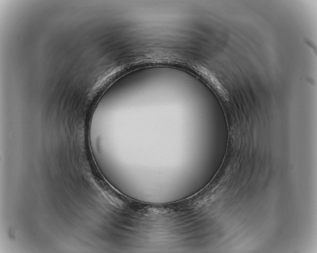 X0000091590442200708200955