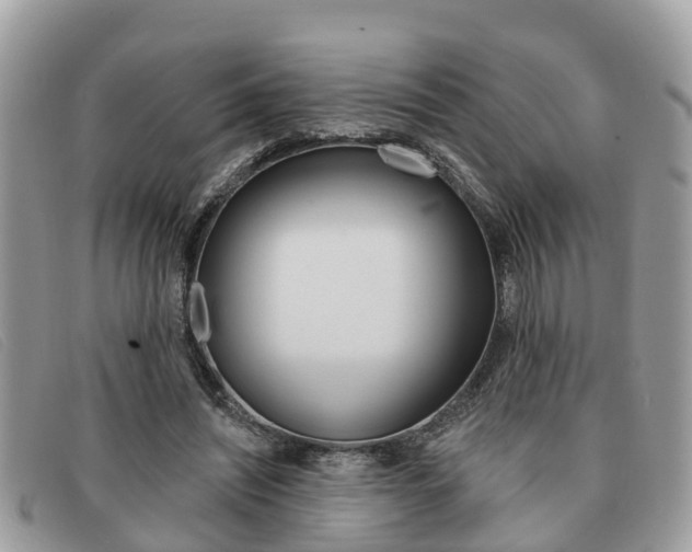 X0000091590444200708200955